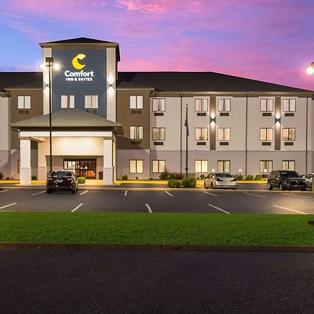 Comfort Inn & Suites Cave City Exterior foto