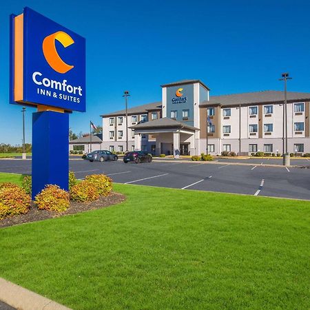 Comfort Inn & Suites Cave City Exterior foto