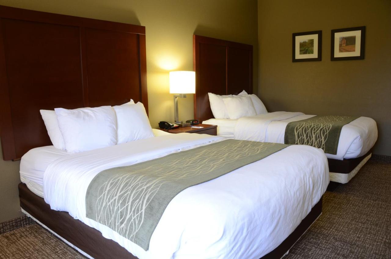 Comfort Inn & Suites Cave City Exterior foto