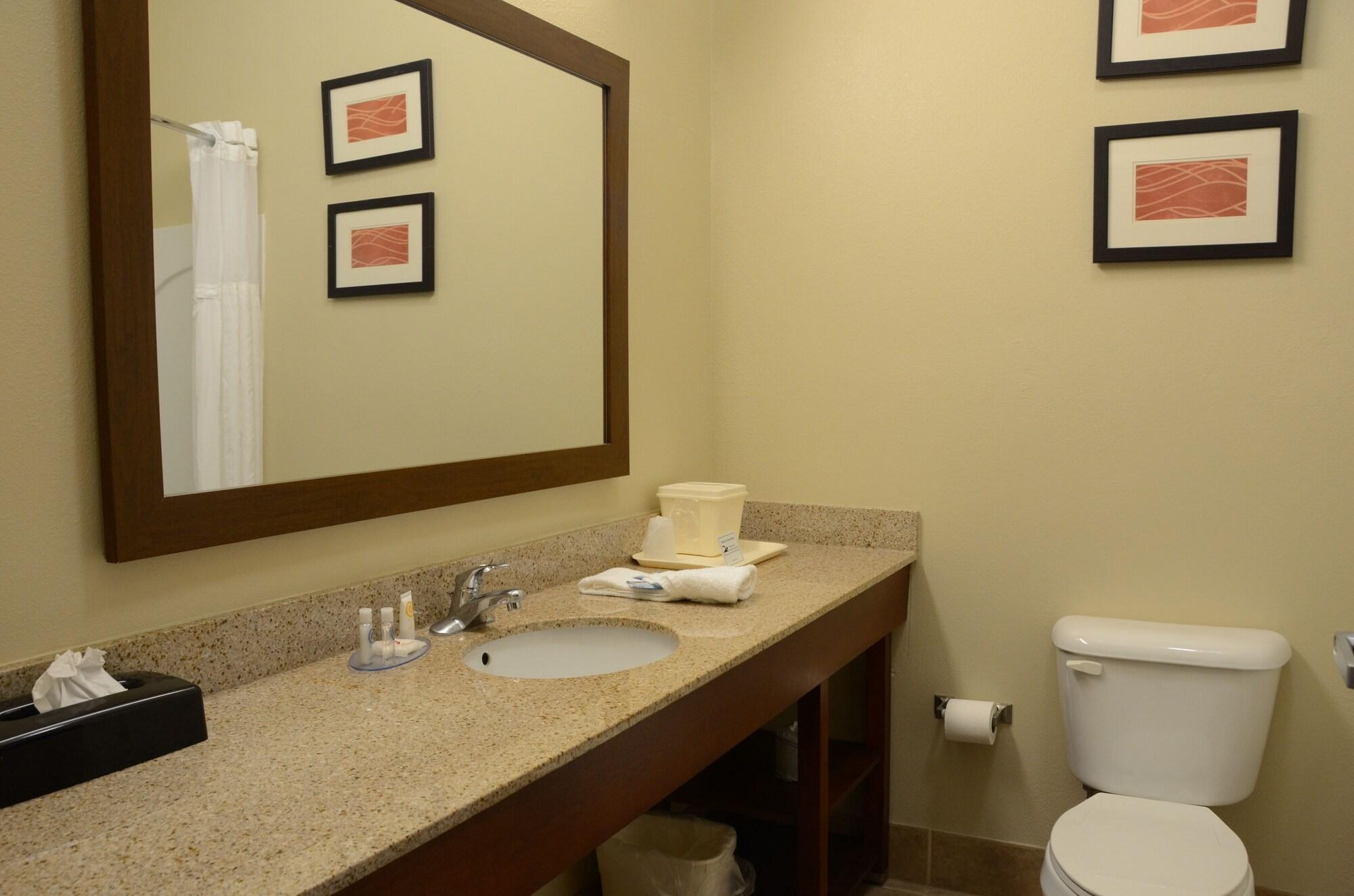 Comfort Inn & Suites Cave City Exterior foto