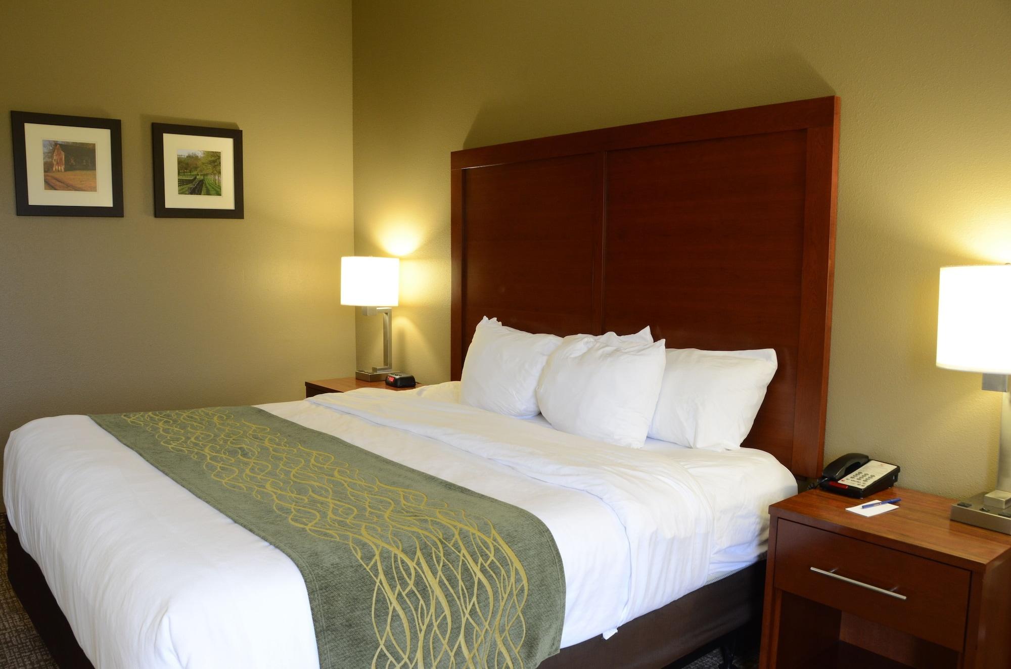 Comfort Inn & Suites Cave City Exterior foto